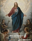 Bendito el que viene en nombre del señor.